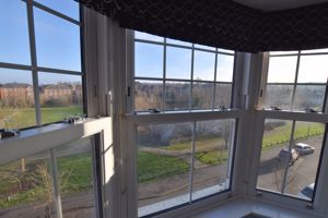 View from bay window- click for photo gallery